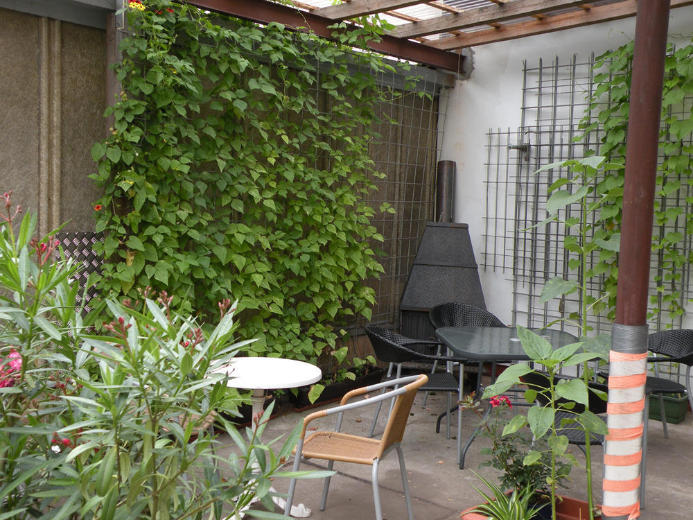 Apartments Schramm 아이제나흐 외부 사진